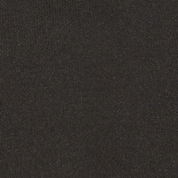 Chic Etoile Ross Women's Black Cotton Stand-Up Collar Zippered Sweatshirt