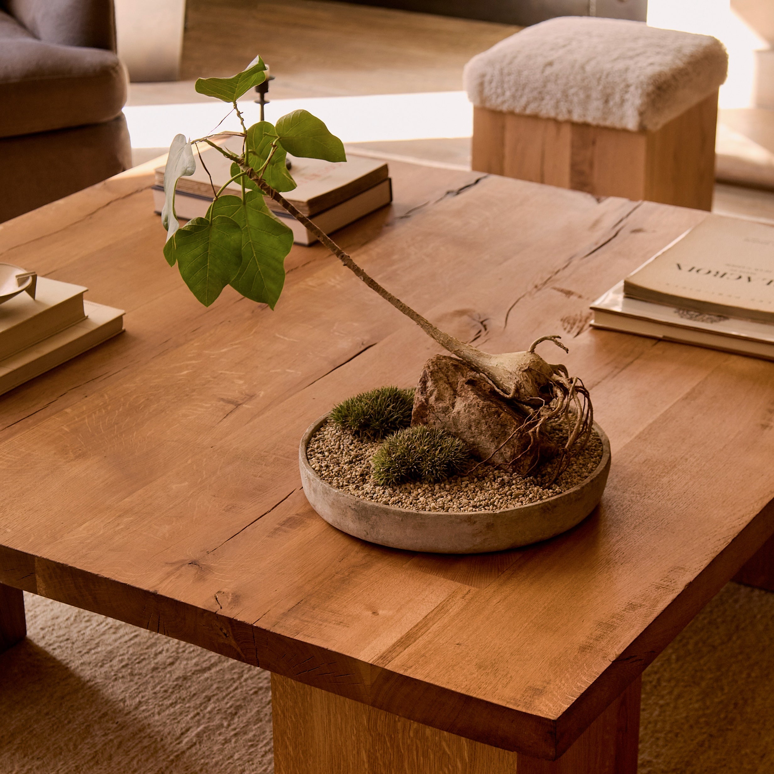https://cdn.shopify.com/s/files/1/0593/2217/1565/files/Antwerp-Square-Coffee-Table-Sherpa-Ottoman-Detail.jpg?v=1772665951