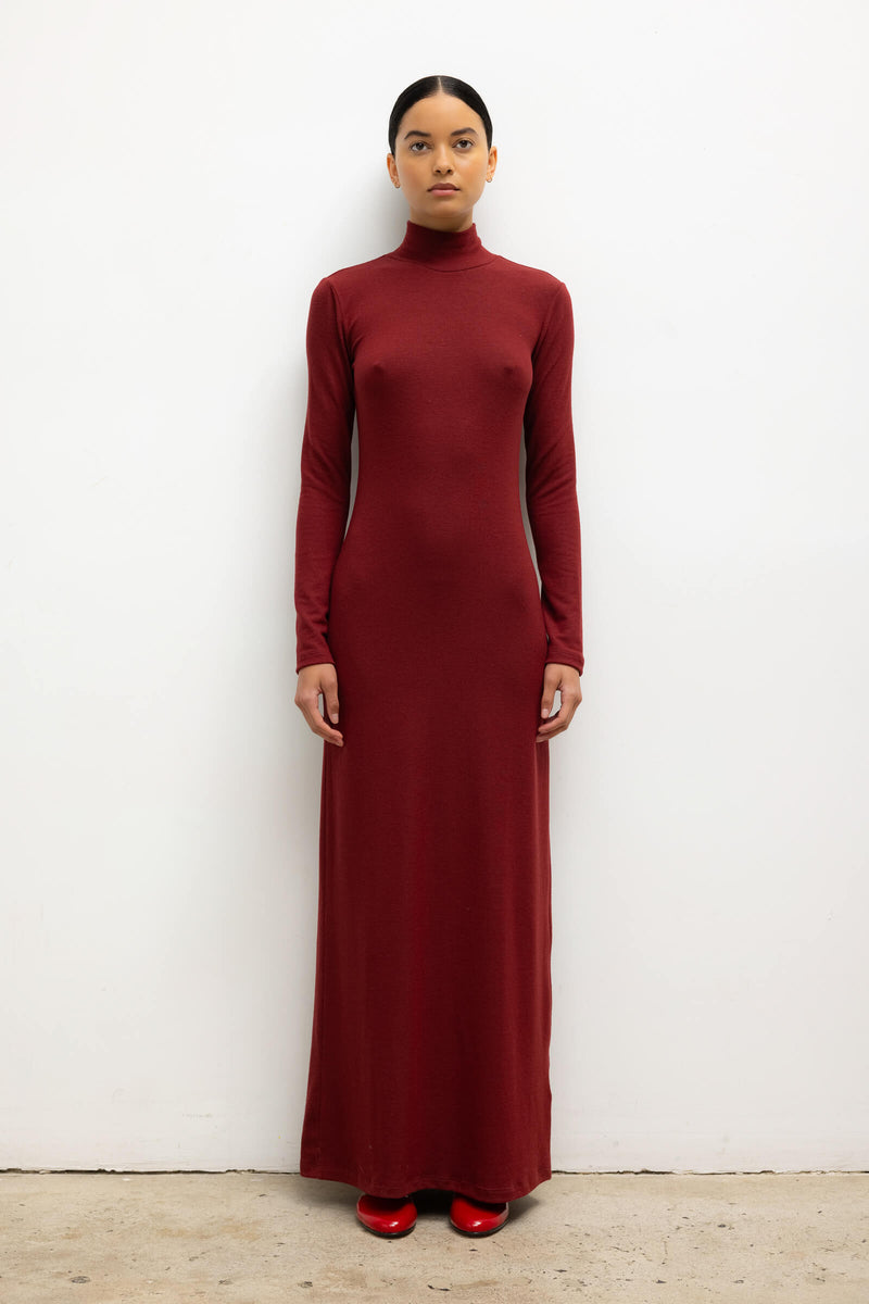 https://cdn.shopify.com/s/files/1/1286/8573/files/LESET_LAUREN_LAURENTURTLENECKMAXIDRESS_PINOT_ONMODEL_1.jpg?v=1759441616