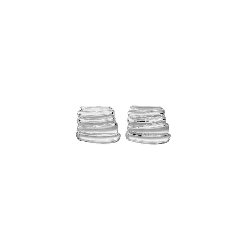 https://cdn.shopify.com/s/files/1/0574/0989/6626/files/Vase_Silver.png?v=1720669835