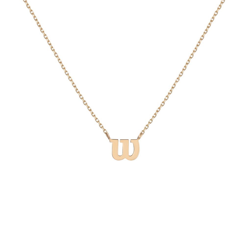Aurate x Wilson Dainty 'W' Necklace: 14k Gold, Vermeil, Tennis Style