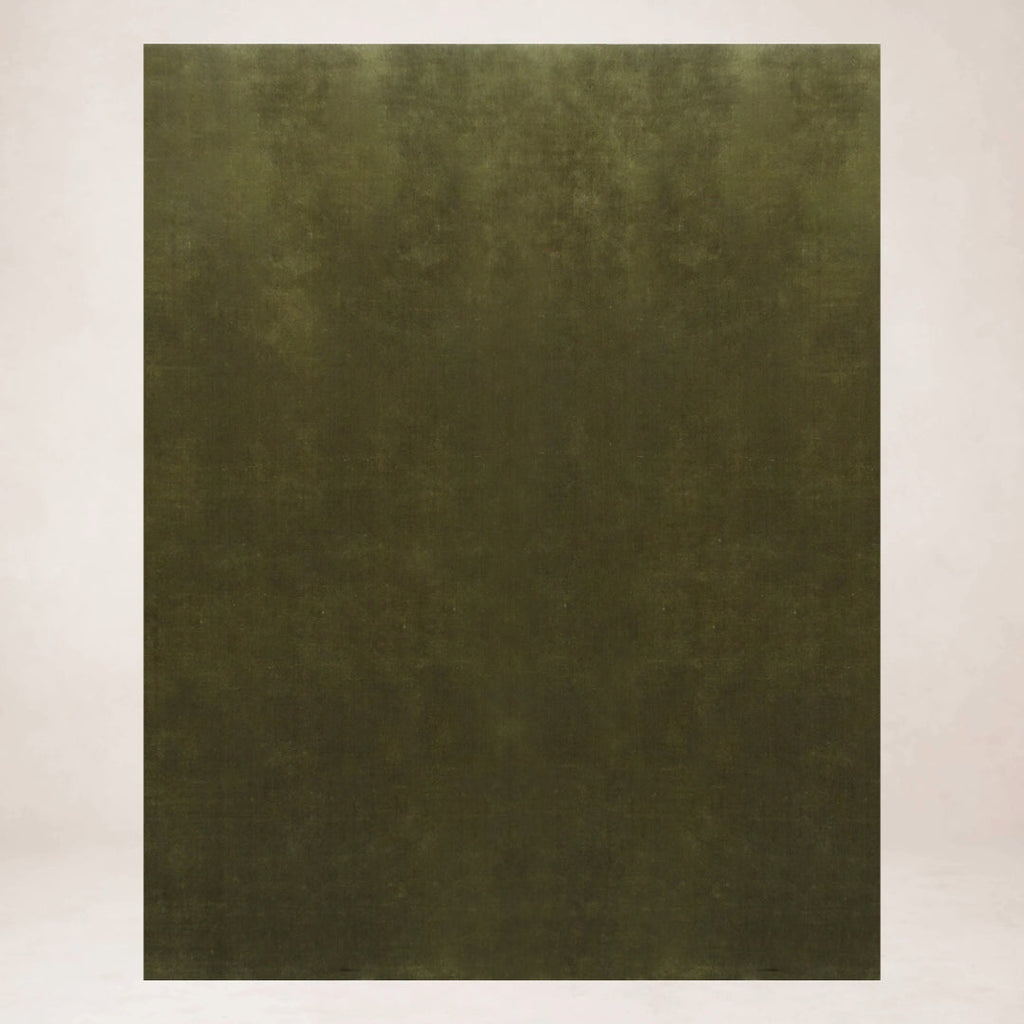 https://cdn.shopify.com/s/files/1/0593/2217/1565/files/olive-rug.jpg?v=1752171728