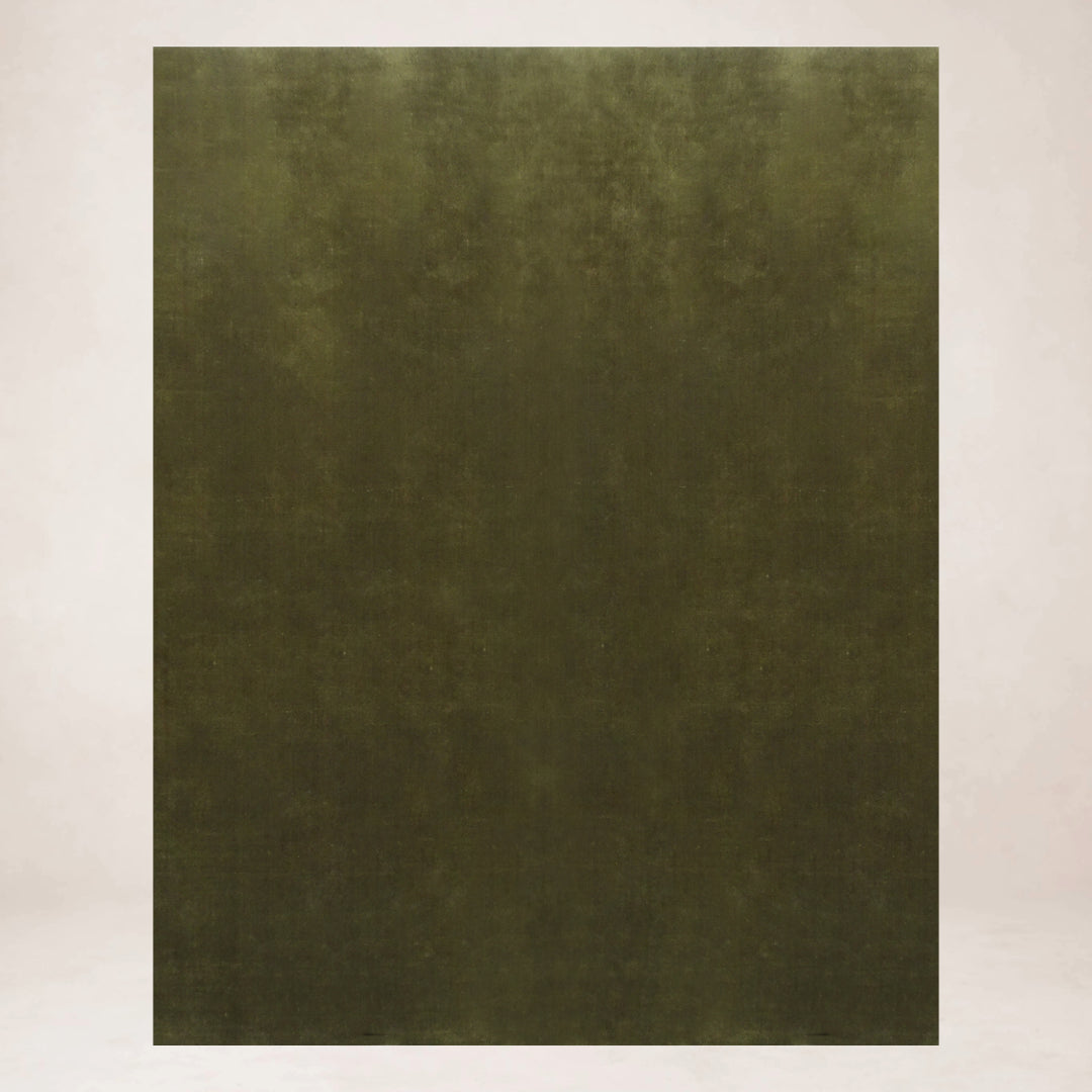 https://cdn.shopify.com/s/files/1/0593/2217/1565/files/olive-rug.jpg?v=1752171728