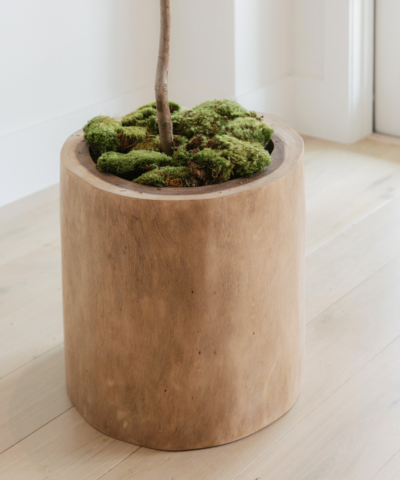 https://cdn.shopify.com/s/files/1/0565/1234/8333/files/ranch-planter-edit.jpg?v=1708564762