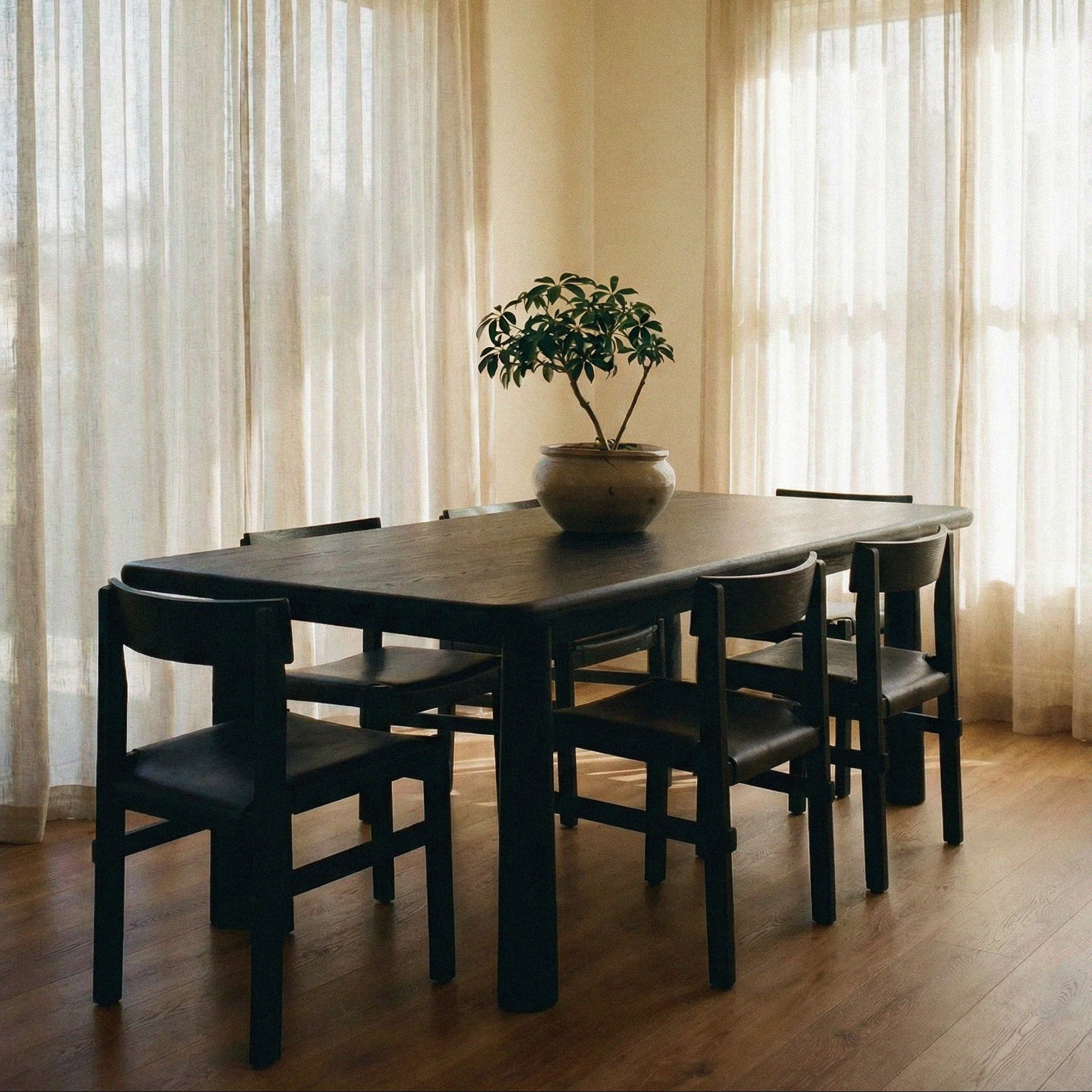 https://cdn.shopify.com/s/files/1/0593/2217/1565/files/topa-topa-black.jpg?v=1768238898